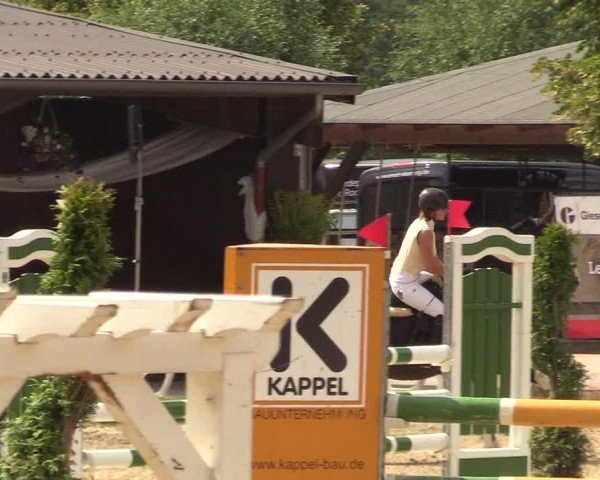 Reitturnier Münster-Roxel 2018