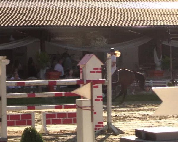 Reitturnier Münster-Roxel 2018