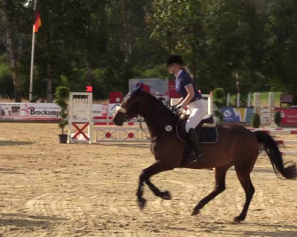 Reitturnier Münster-Roxel 2018