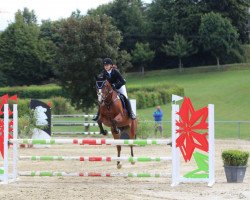 jumper Funny's Diamond ML (Irish Sport Horse, 2001, from Furisto's Diamond)