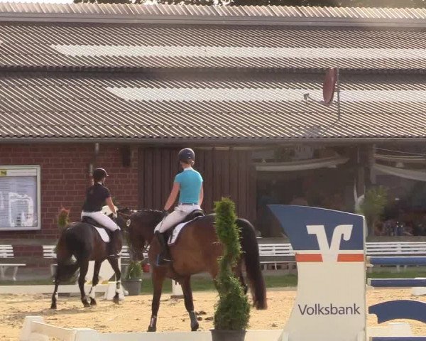 Reitturnier Münster-Roxel 2018