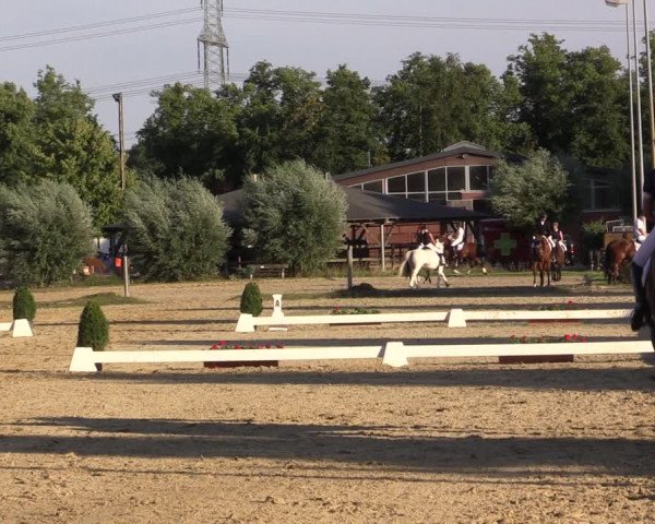 Reitturnier Münster-Roxel 2018