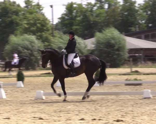 Reitturnier Münster-Roxel 2018
