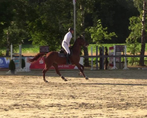 Reitturnier Münster-Roxel 2018
