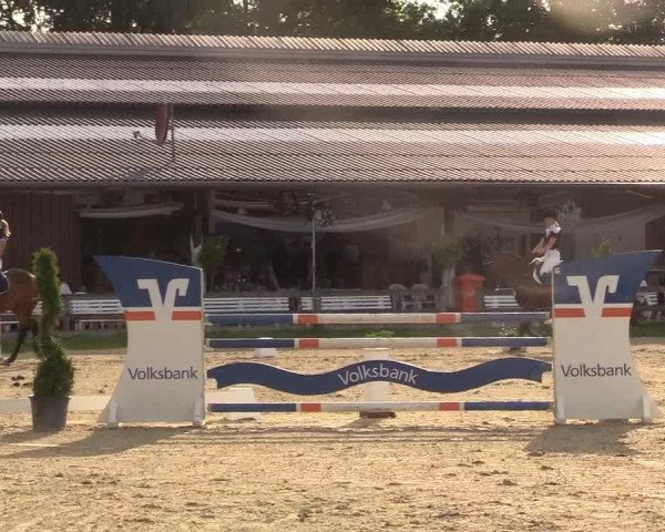 Reitturnier Münster-Roxel 2018