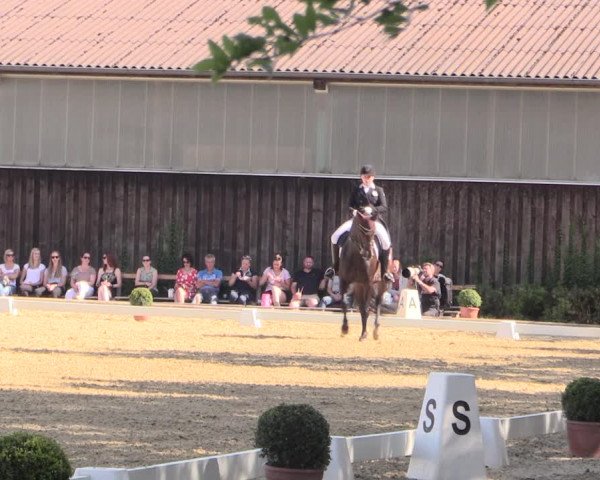 Steinhagener Reitertage 2018