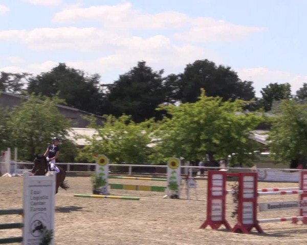 Reitturnier Haren 2018