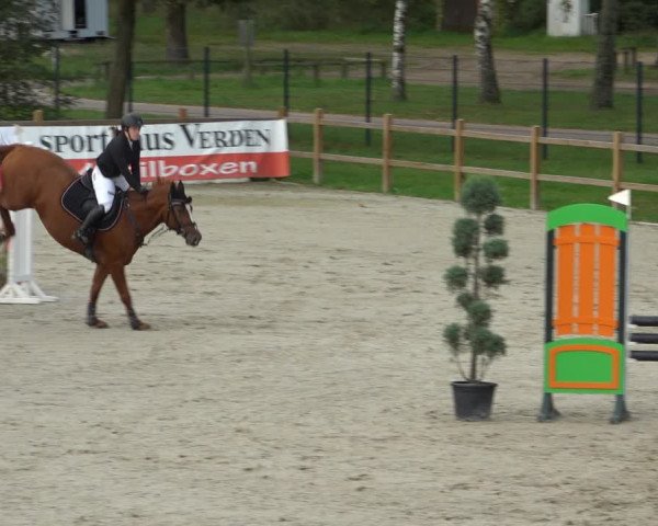 Reitturnier Westergellersen 2021
