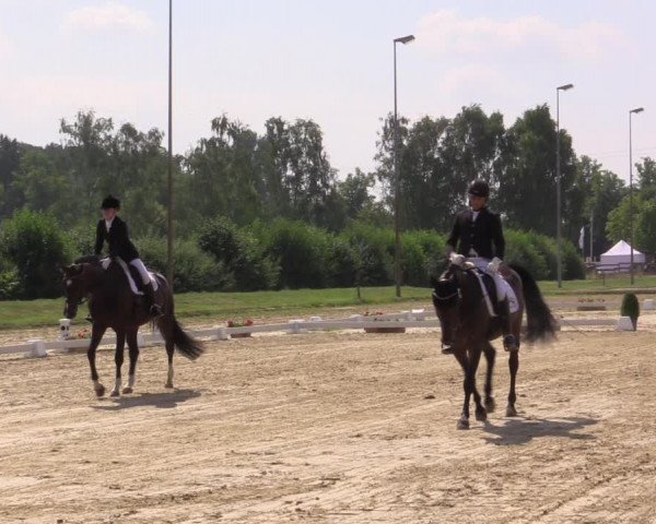 Reitturnier Münster-Roxel 2018
