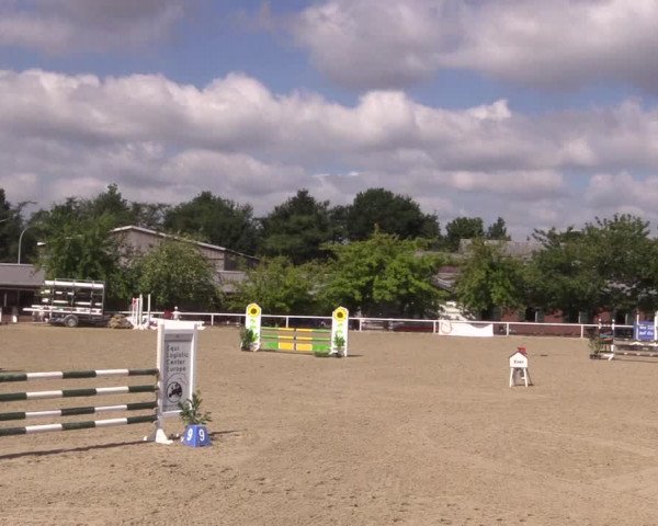 Reitturnier Haren 2018