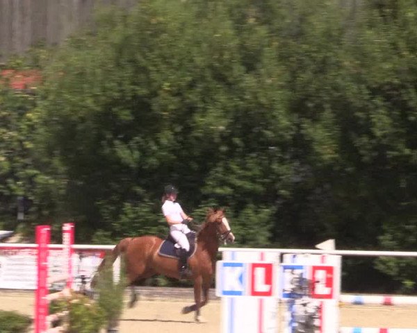 Reitturnier Haren 2018