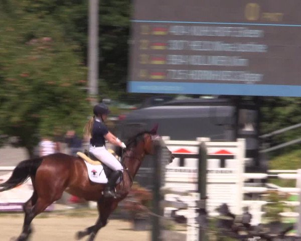 Reitturnier Haren 2018