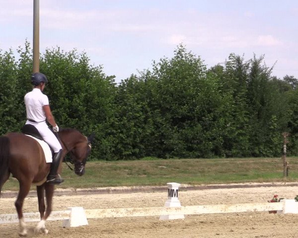 Reitturnier Münster-Roxel 2018