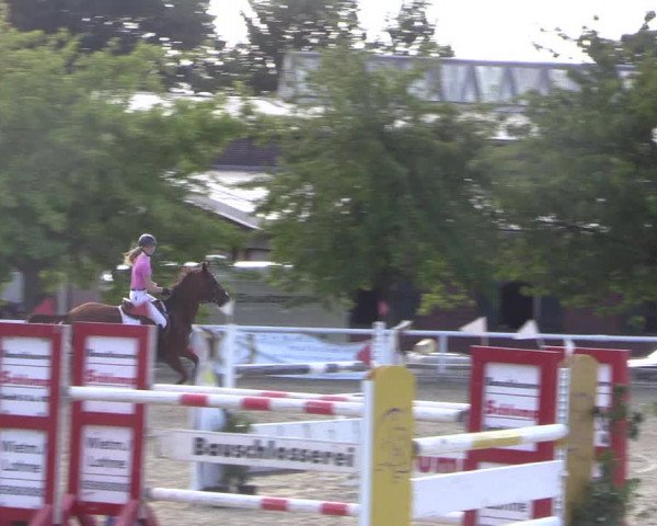 Reitturnier Haren 2018