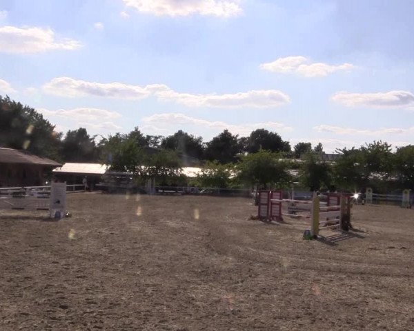 Reitturnier Haren 2018