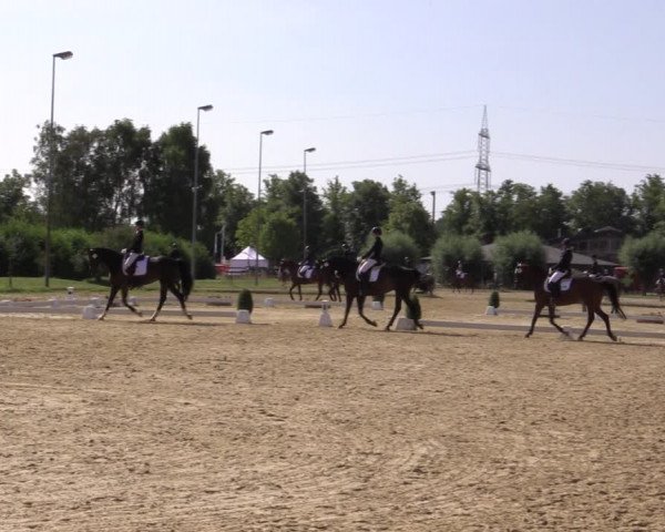 Reitturnier Münster-Roxel 2018