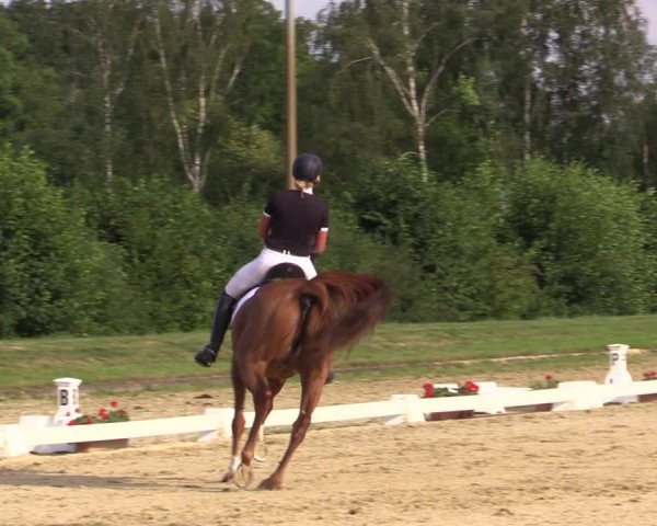 Reitturnier Münster-Roxel 2018