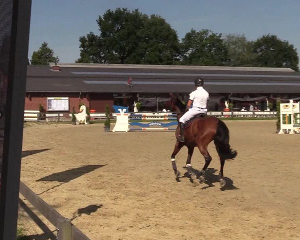 Reitturnier Münster-Roxel 2018