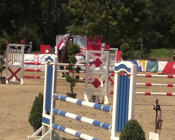 Reitturnier Münster-Roxel 2018