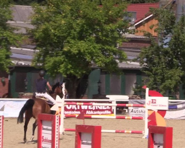 Reitturnier Haren 2018