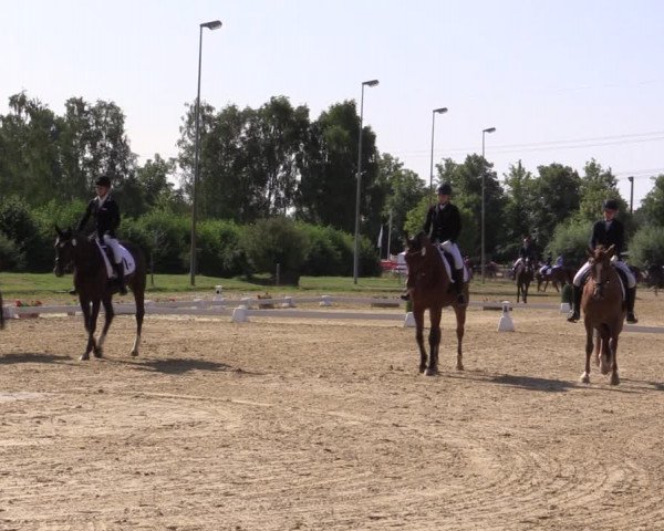 Reitturnier Münster-Roxel 2018