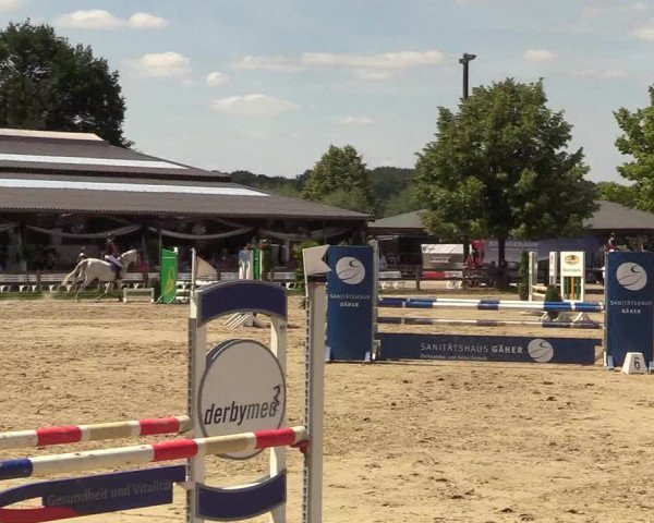 Reitturnier Münster-Roxel 2018