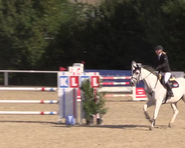 Reitturnier Haren 2018