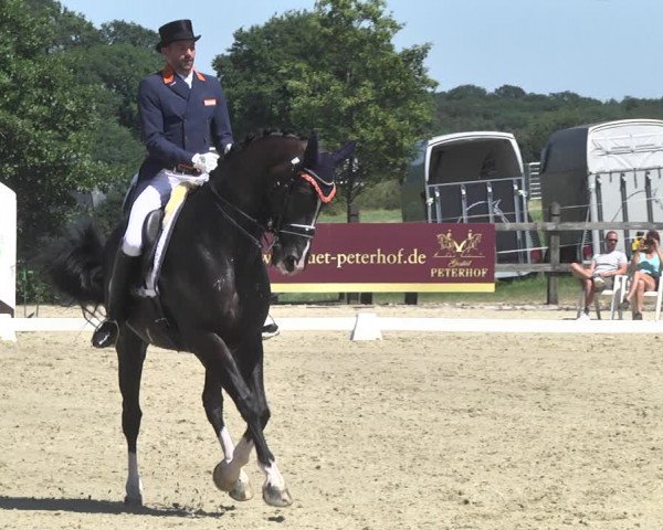 CDI**** Leudelange (LUX) 2018