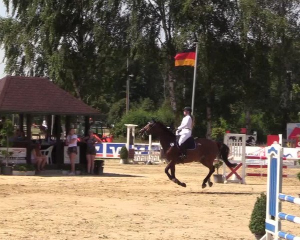 Reitturnier Münster-Roxel 2018