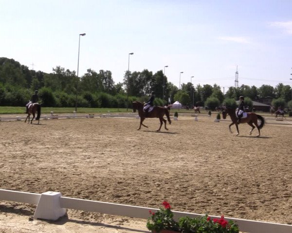 Reitturnier Münster-Roxel 2018