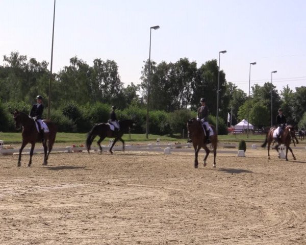 Reitturnier Münster-Roxel 2018