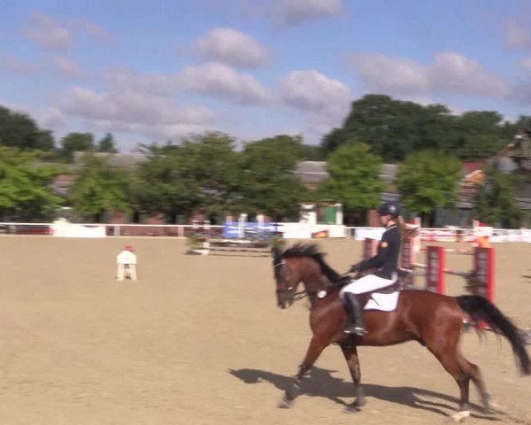 Reitturnier Haren 2018