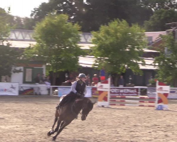 Reitturnier Haren 2018
