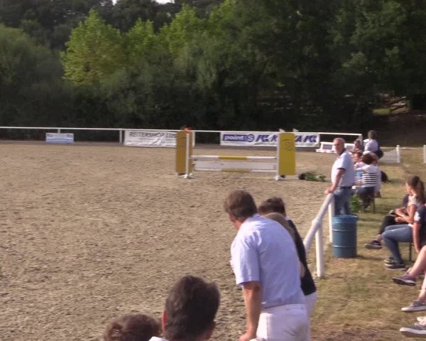 Reitturnier Haren 2018