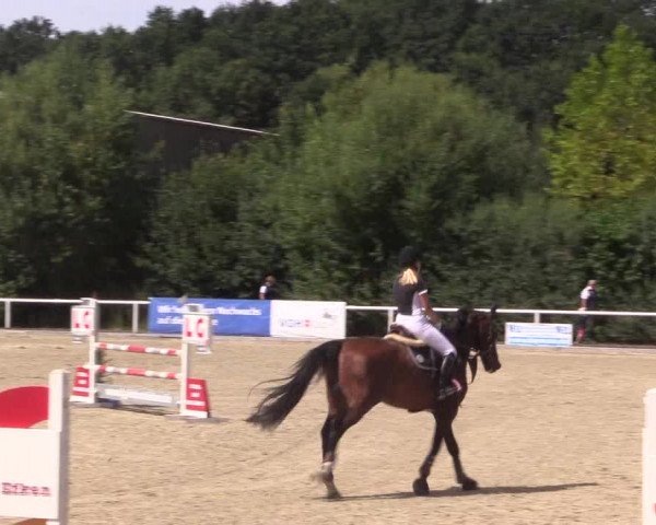 Reitturnier Haren 2018