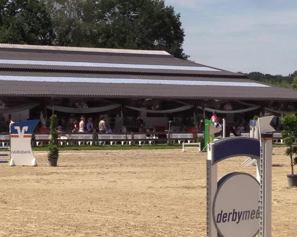 Reitturnier Münster-Roxel 2018
