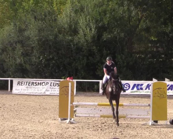 Reitturnier Haren 2018