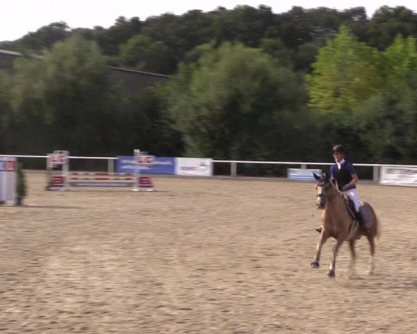 Reitturnier Haren 2018