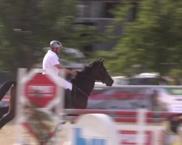 Reitturnier Haren 2018