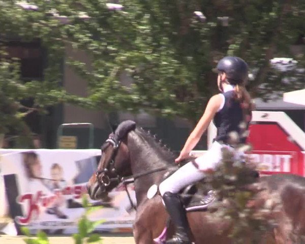 Reitturnier Haren 2018