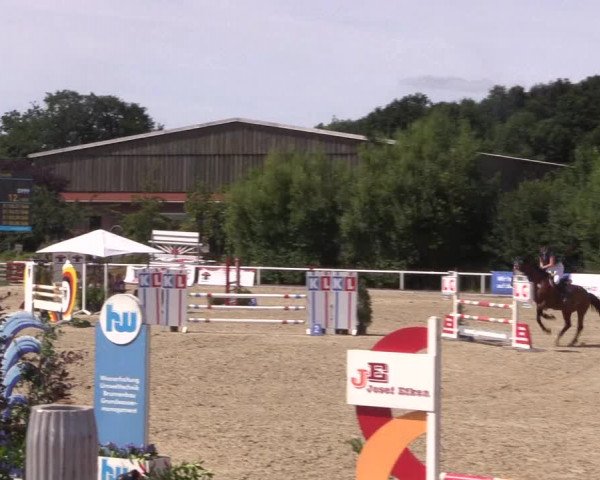 Reitturnier Haren 2018