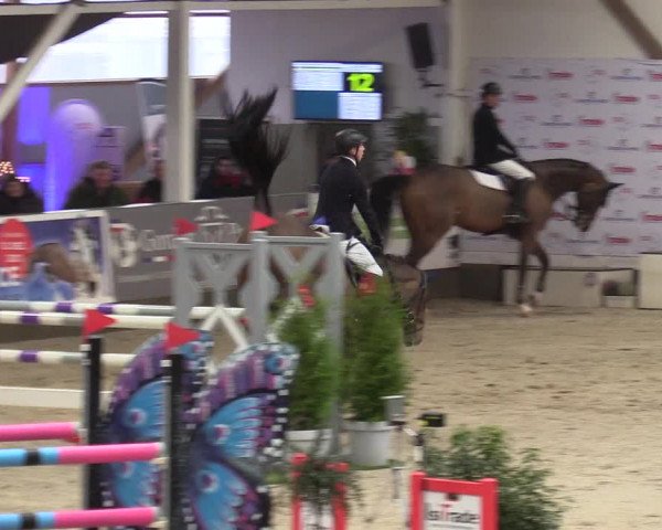 6. Nordic Jumping in Negernbötel 2021