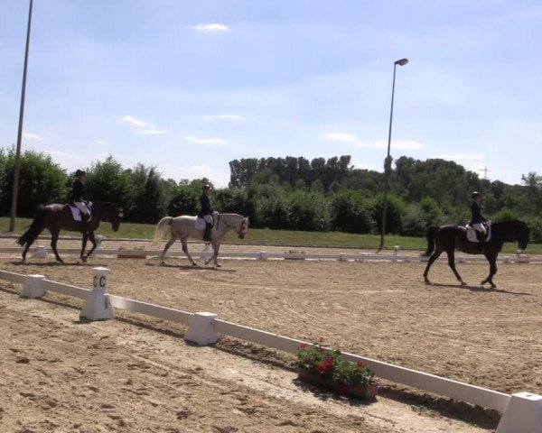 Reitturnier Münster-Roxel 2018