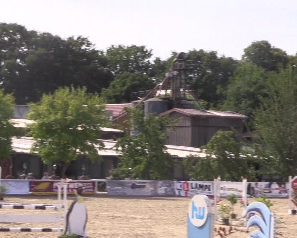 Reitturnier Haren 2018