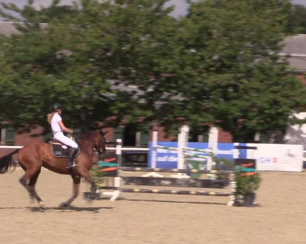 Reitturnier Haren 2018