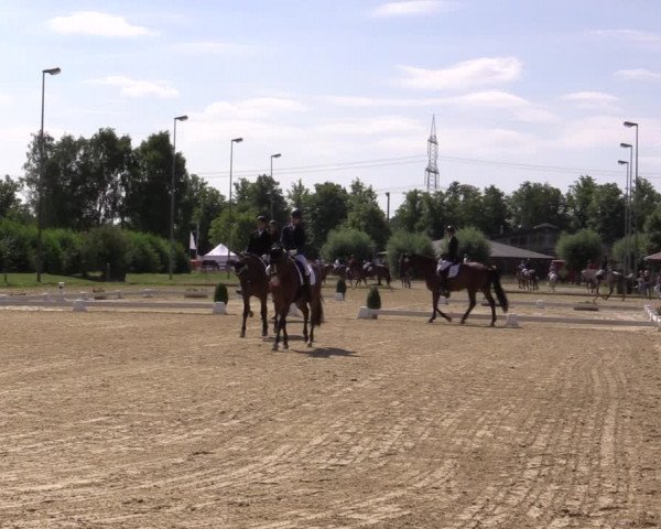 Reitturnier Münster-Roxel 2018