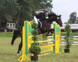 jumper Lexie Brown (Oldenburg, 2008, from Love and Jump)