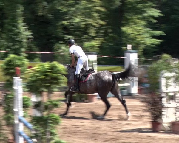 Reitturnier Prussendorf 2018
