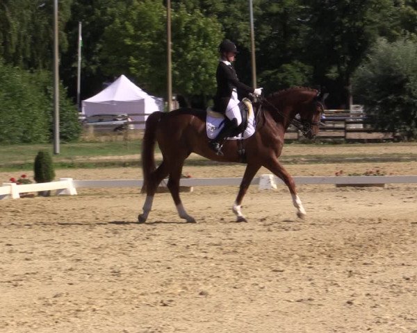 Reitturnier Münster-Roxel 2018