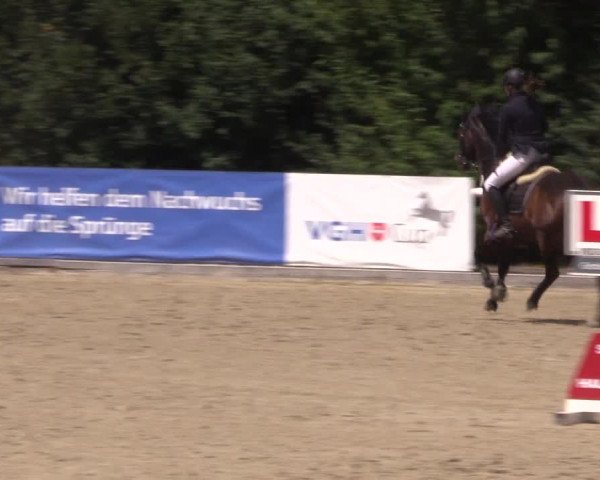 Reitturnier Haren 2018